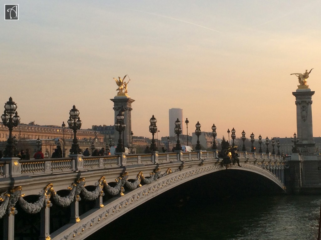 A Romantic Paris, France Proposal - Amy Anaiz Blog